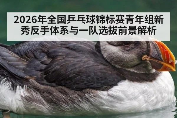 2026年全国乒乓球锦标赛青年组新秀反手体系与一队选拔前景解析